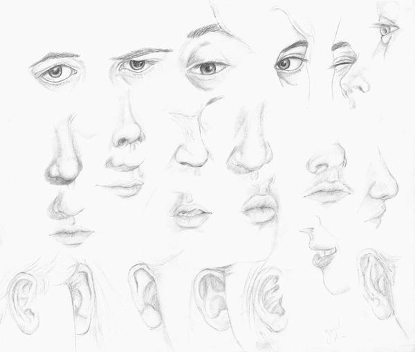 Eyes, Nose, Mouth, Ear study