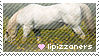 Lipizzaner Stamp by aura-boar