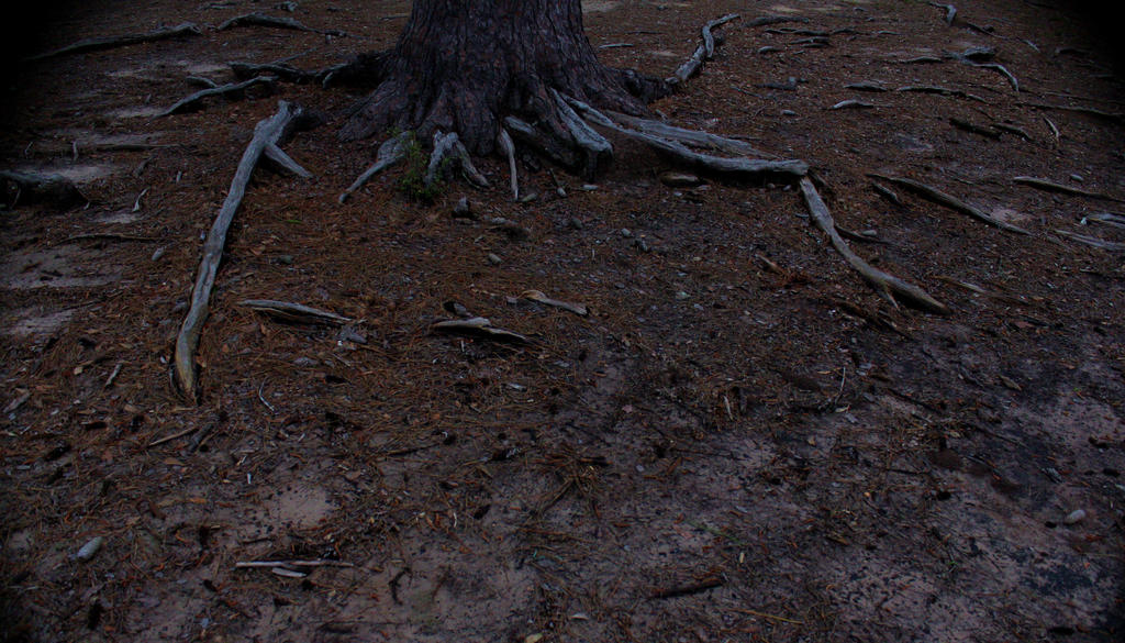 Doob Roots Roots by RobertRobledo on DeviantArt