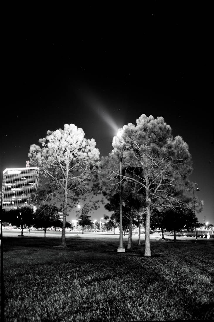 Tree Beem by RobertRobledo on DeviantArt