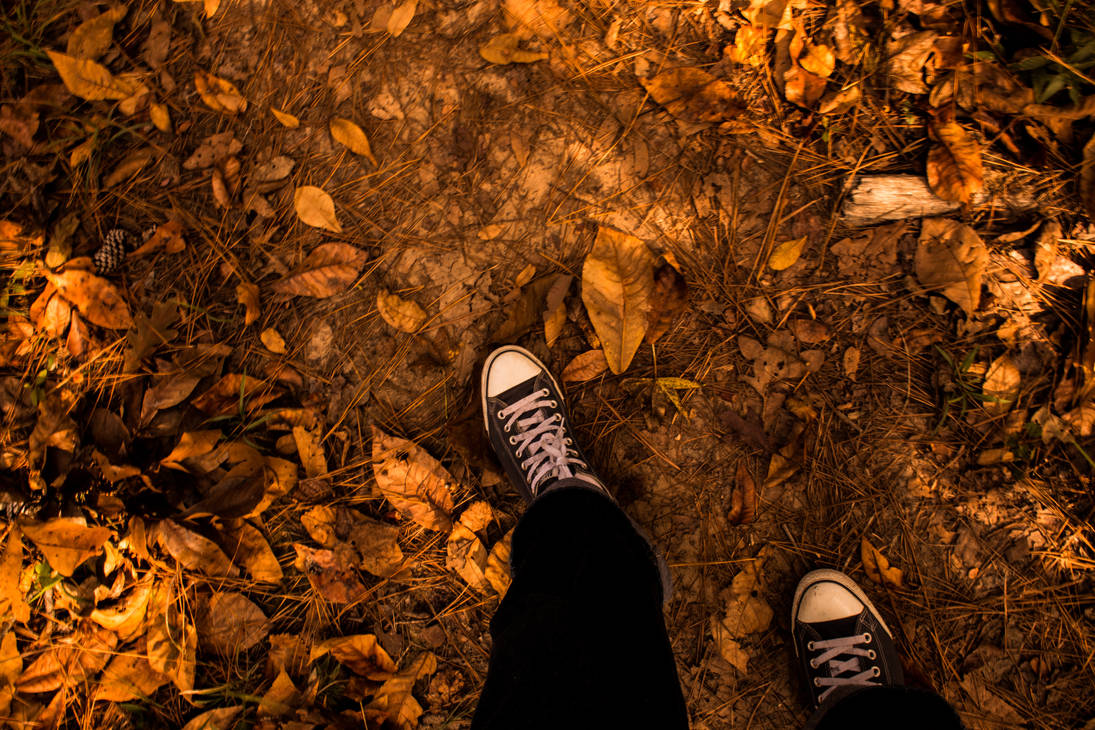 Walk on leaves by RobertRobledo
