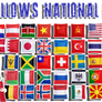 pillows national flags DL