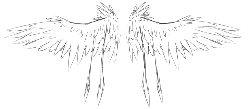 Velciptras Wings