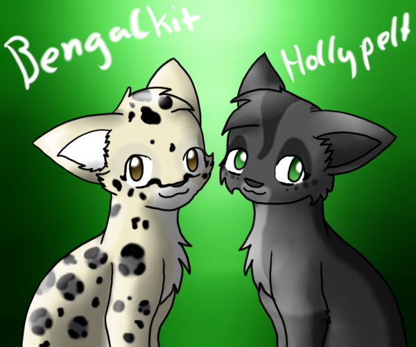 Bengalkit and Hollypelt