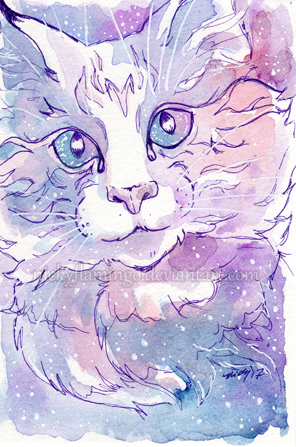 Galaxy Cat Comet