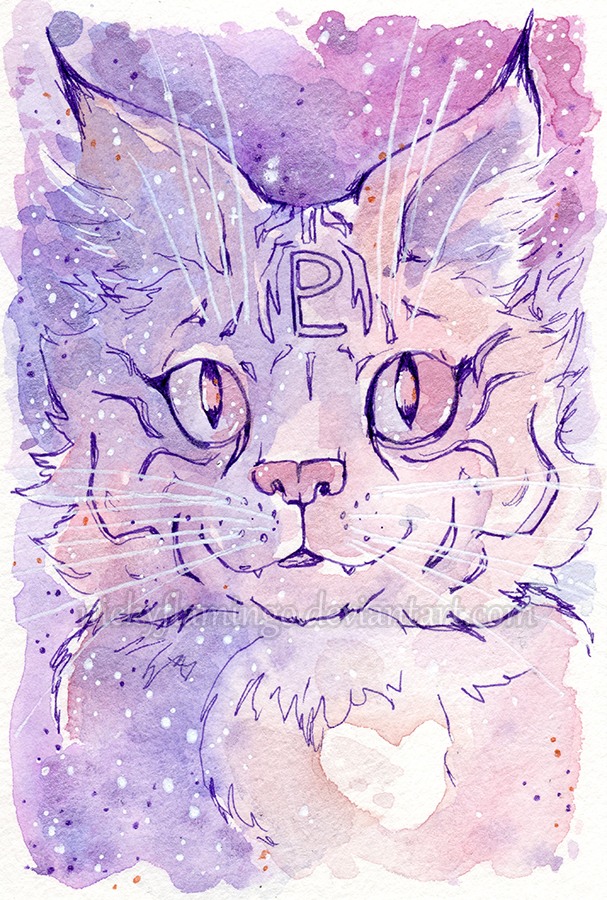 Galaxy Cat Pluto