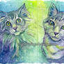 Galaxy Cats Gemini Pollux and Castor