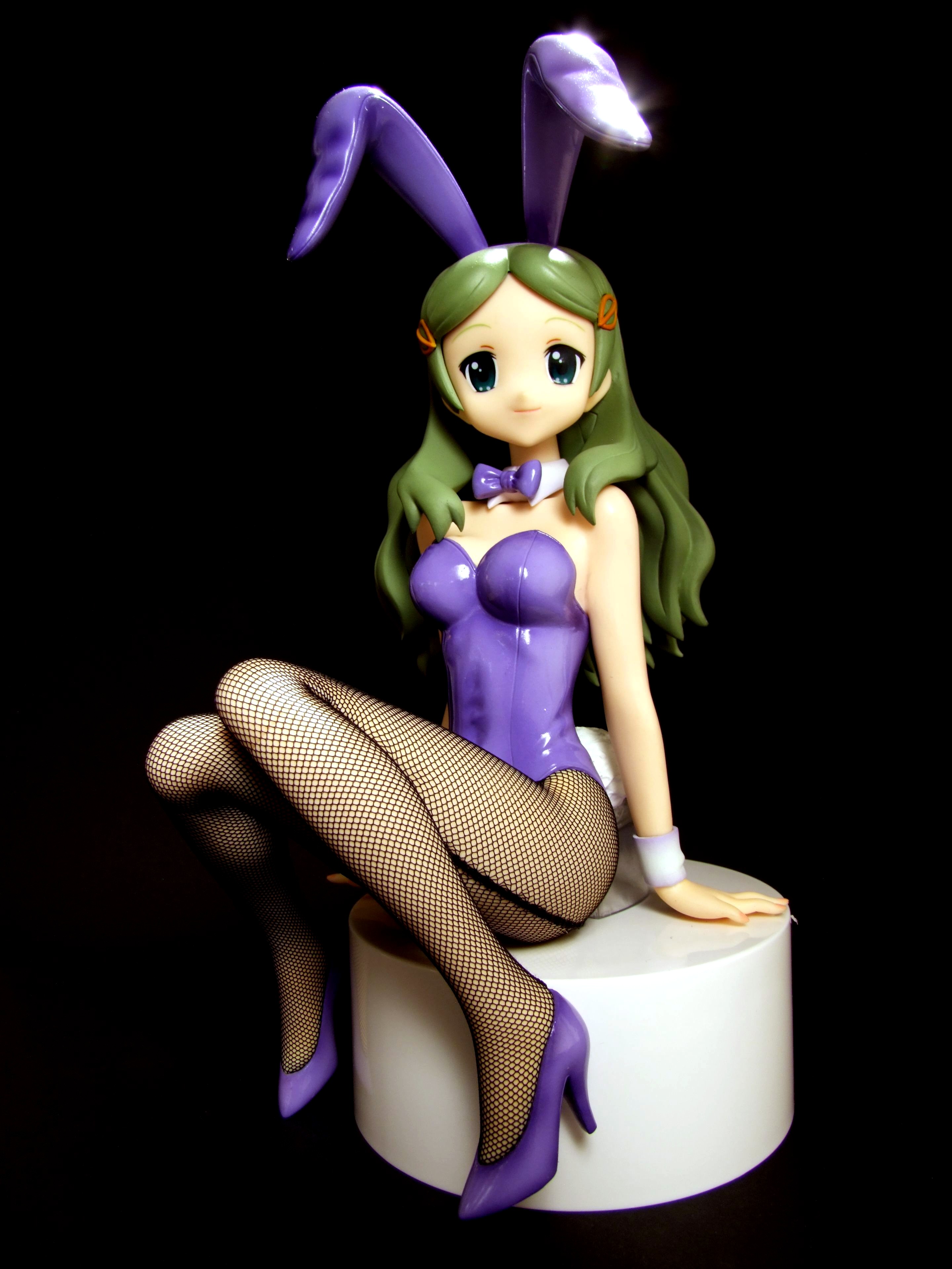 Purple Bunny Emiri Kimidori