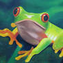 Red-Eyed Tree Frog