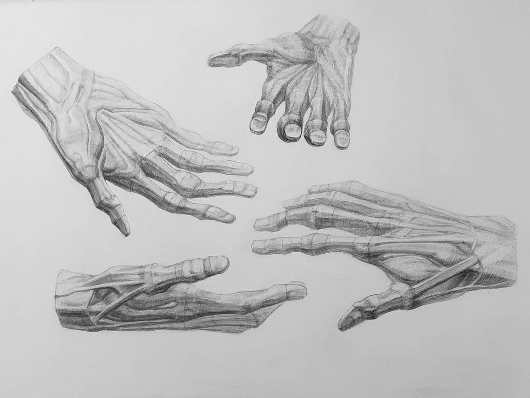 Hand Study by MediocrityOne on DeviantArt