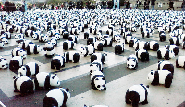 Pandas