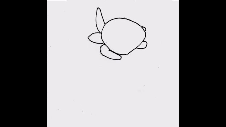 Basic Sea Turtle Rotation Animations by MattWileyto on DeviantArt