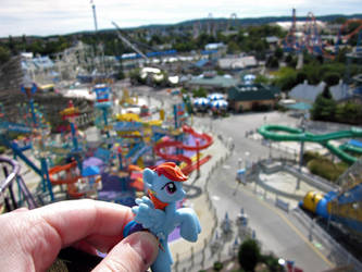 Dash Around the World- Hershey