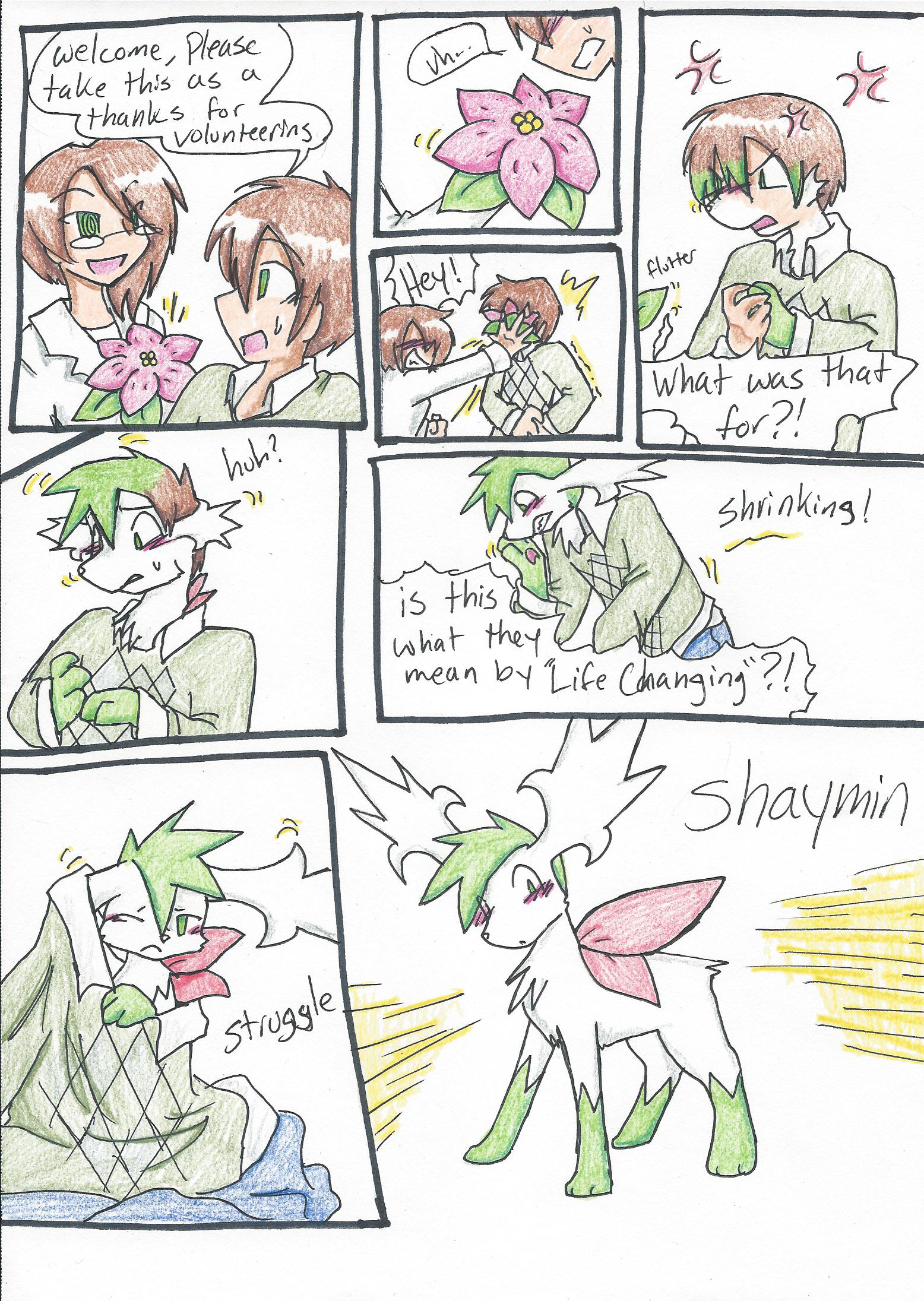 Shaymin and Gracidea Flowers by South-Williams on DeviantArt