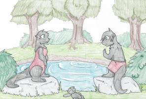 Otter commission final