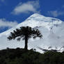 Volcan Lanin