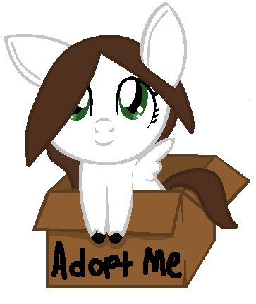 Ayuna in a box