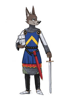 14th Century Medieval Knight