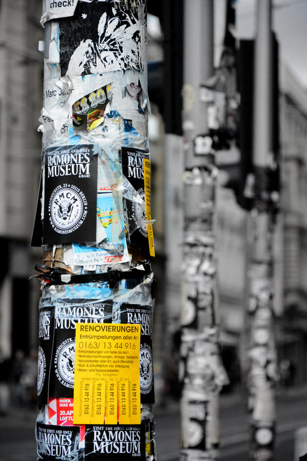 Sign Post Forest