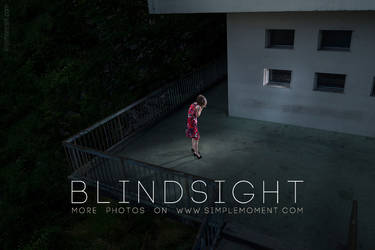 Blindsight 2