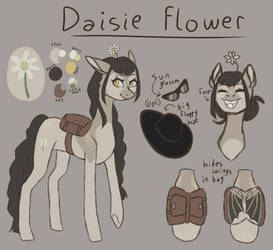 Daisie ref