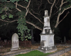 Tombstone under a tree