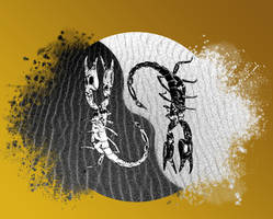 Yin Yang-Desert by joejonson75