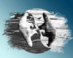 Yin Yang-Arctic by joejonson75