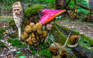 Forest gang