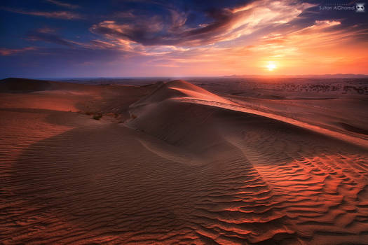 the shadow of dune.