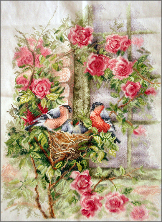 Little birds with roses