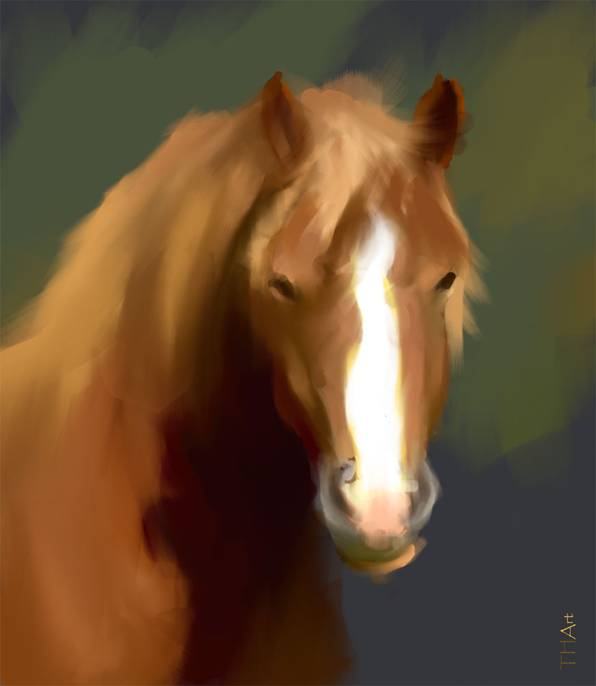 Portrait of Horse