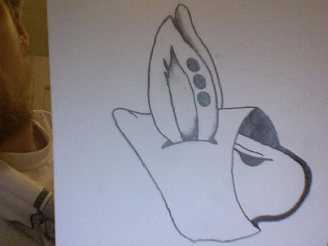 gangsta rabbit by 10ya12m3 on DeviantArt