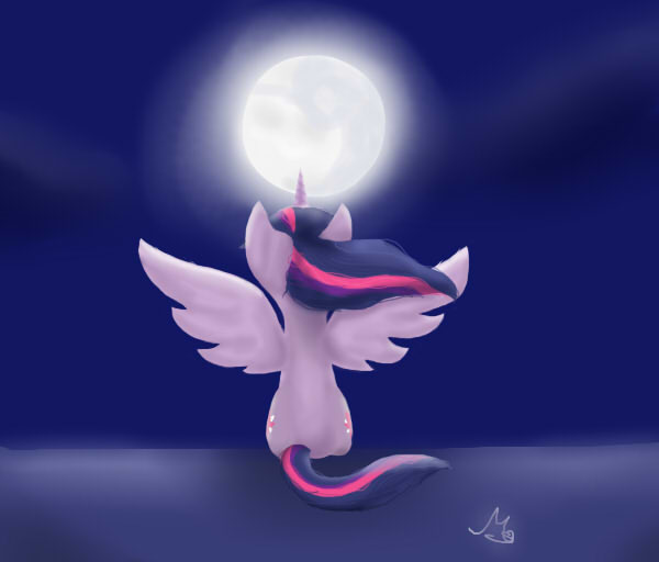 Princess Twilight