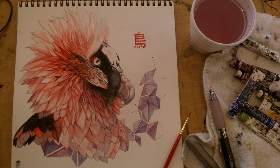 Bearded Vulture (Dragon hehe) by Boywithmeese