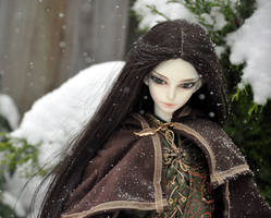 Erestor Snow 3