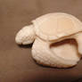 Tagua Turtle