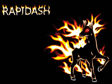 Rapidash Wallpaper