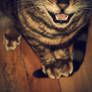 Tail Trap
