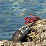 Piscinas Naturales Charcones