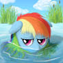 Wet Dash