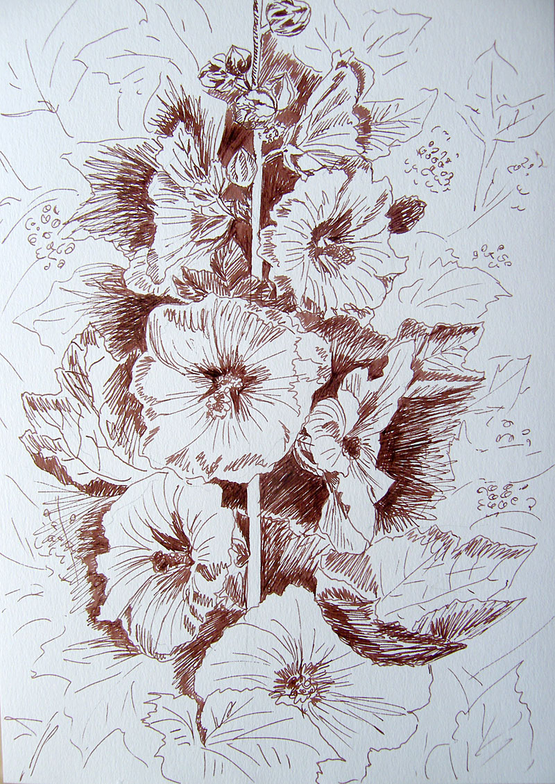 Flowers - ink drawing