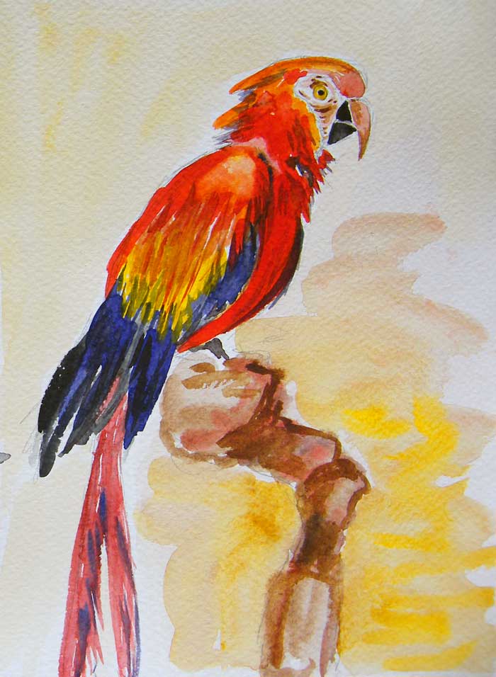 Papuga - bird watercolor