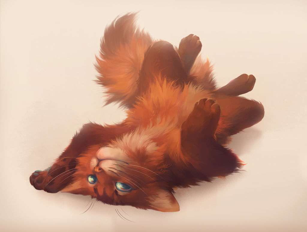 Red Sol Cat Red sun by Felix-fox on DeviantArt