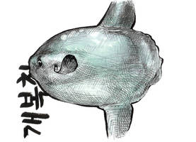 A Sunfish