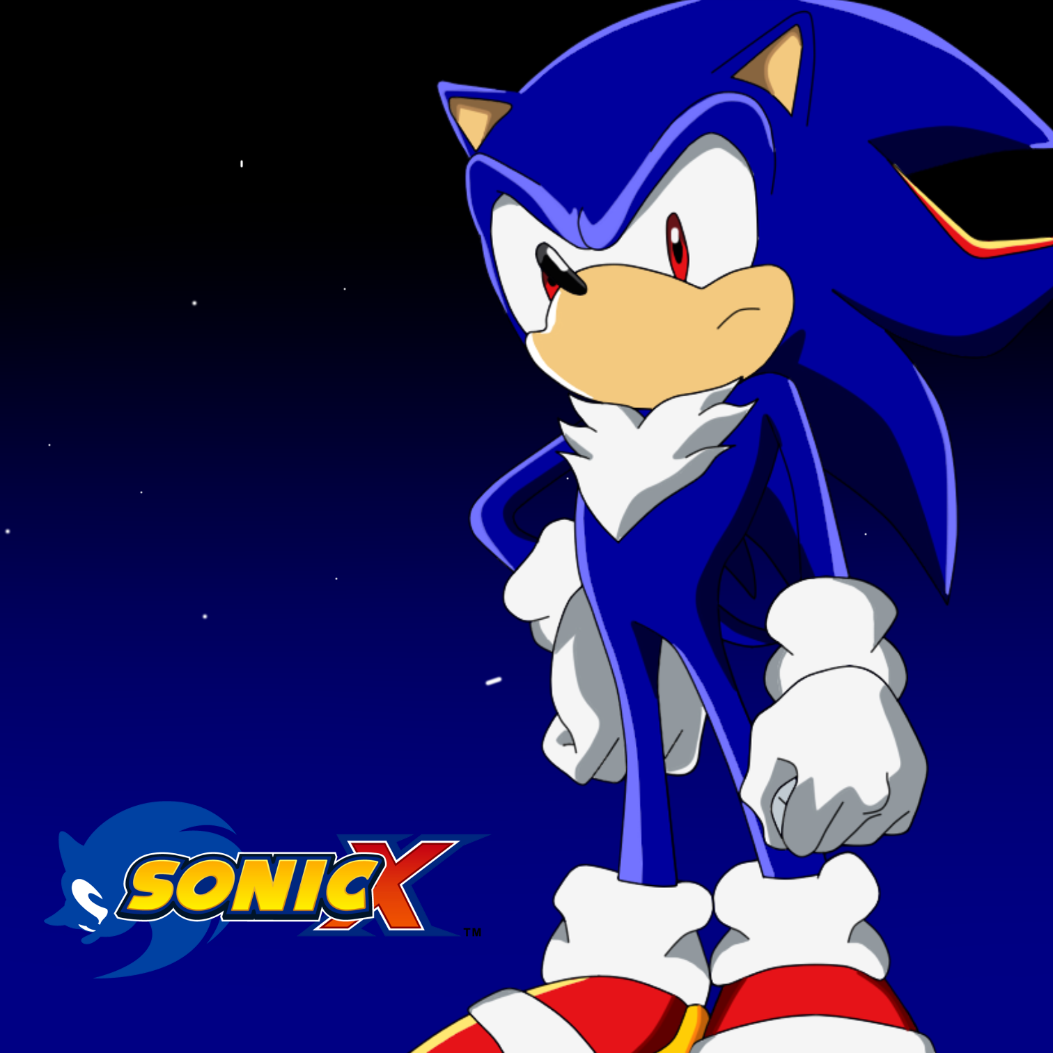 Normal Shadic The Hedgehog