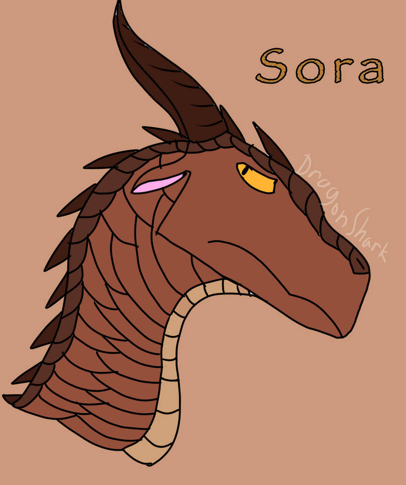 Headshot A day #40: Sora by DragonShark1 on DeviantArt