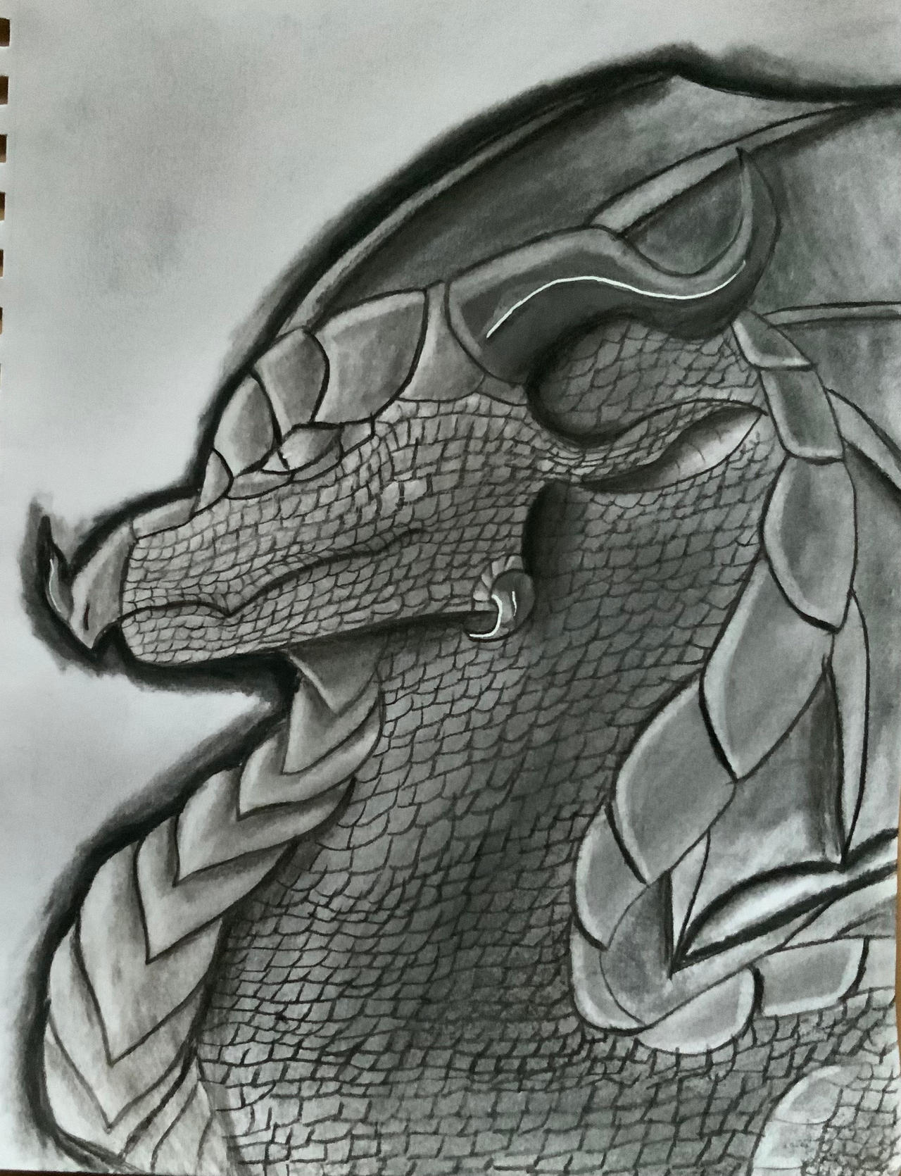 Derg Design Realistic derg by DragonShark1 on DeviantArt