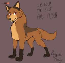 Auction Adopt 1