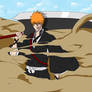 Ichigo's new Shinigami Form